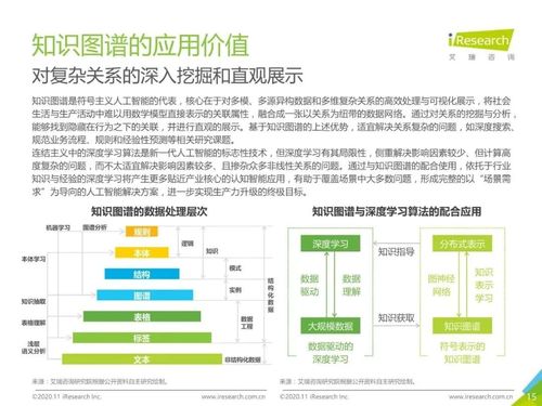 2020年中國面向人工智能新基建的知識(shí)圖譜行業(yè)白皮書 人工智能基礎(chǔ)軟件開發(fā)