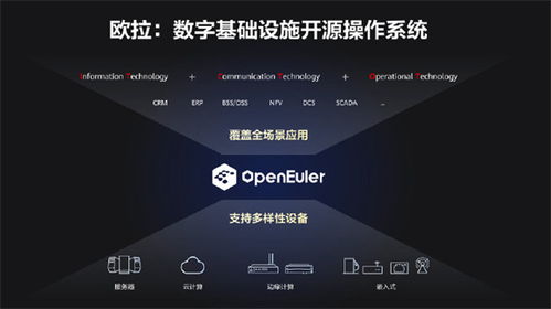 鴻蒙之后，華為捐贈(zèng)歐拉操作系統(tǒng) 從生態(tài)突圍到人工智能基礎(chǔ)軟件的中國答卷